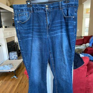 Lane Bryant Tighter Tummy Tech Jeans